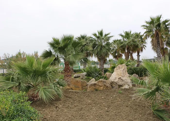 Villa Delle Palme Delfina