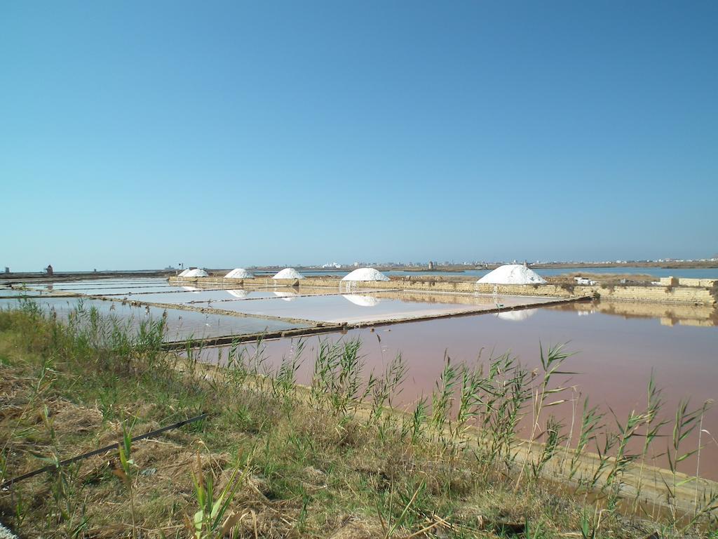 Delle Palme Delfina Trapani
