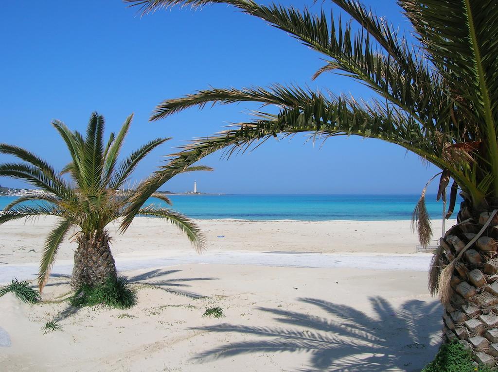 Delle Palme Delfina