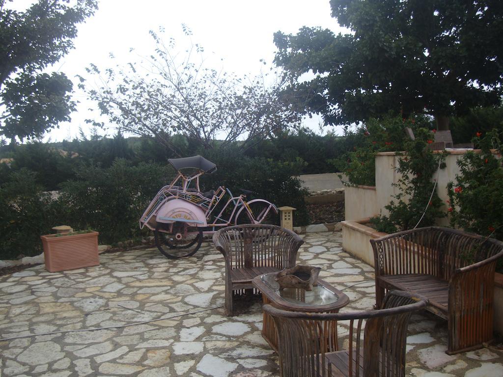 Country house Delle Palme Delfina *