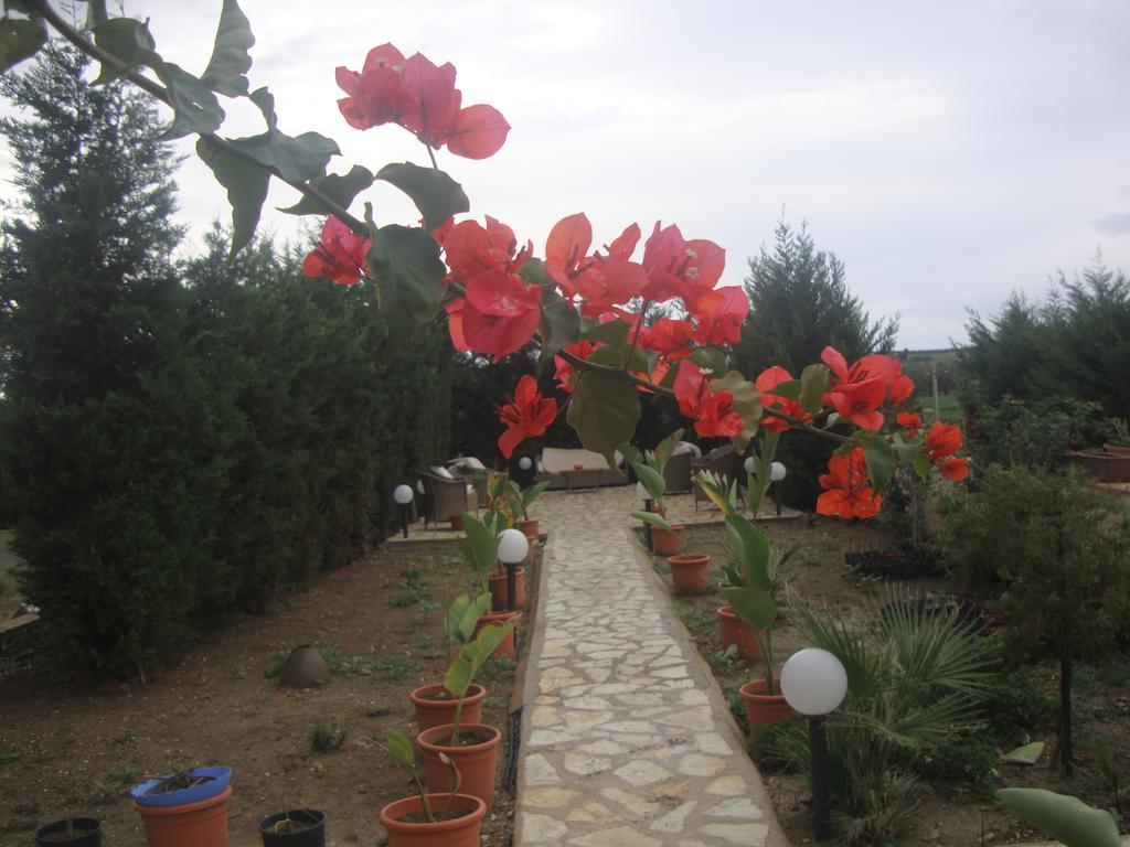 Delle Palme Delfina Trapani