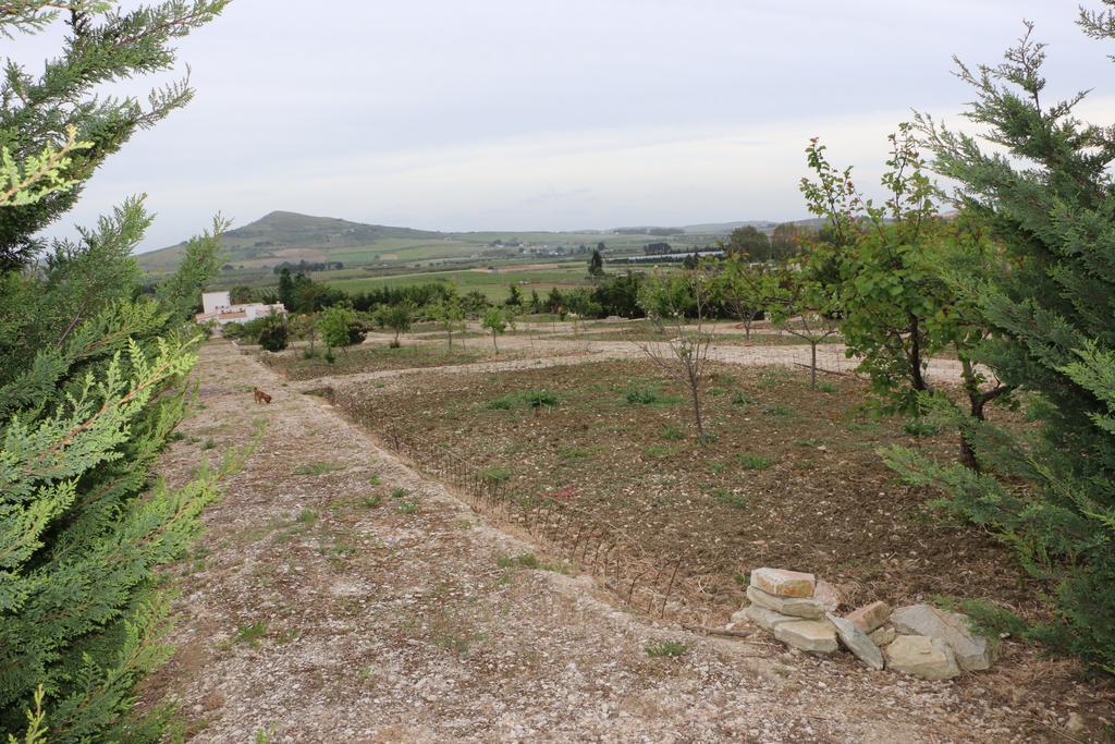Country house Delle Palme Delfina *