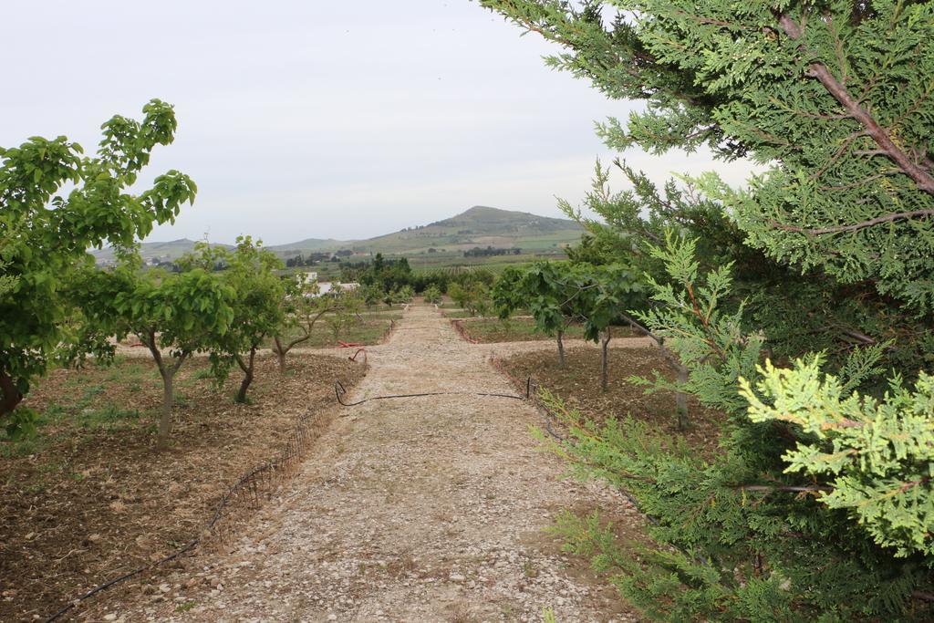 Country house Delle Palme Delfina Trapani
