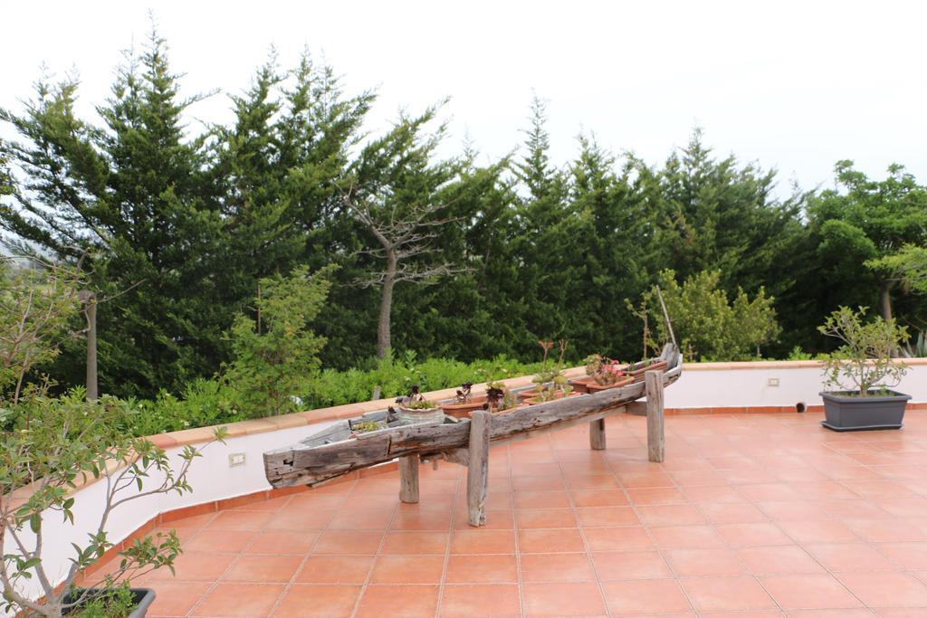 Delle Palme Delfina