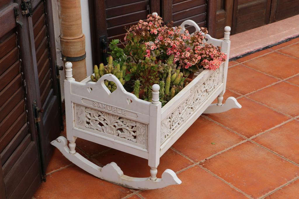 Country house Delle Palme Delfina *