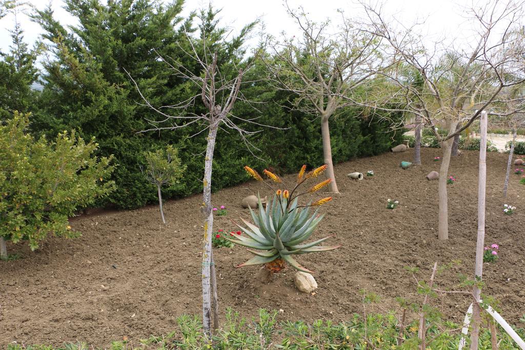 Country house Delle Palme Delfina
