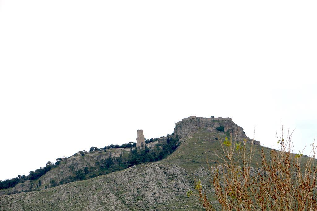 Delle Palme Delfina