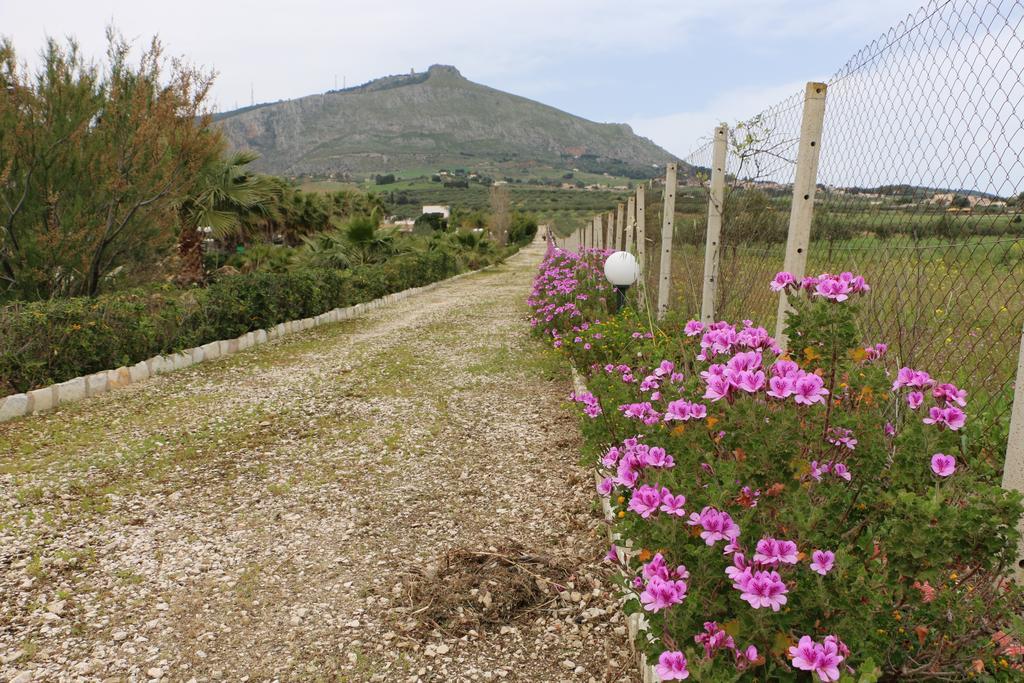 Country house Delle Palme Delfina