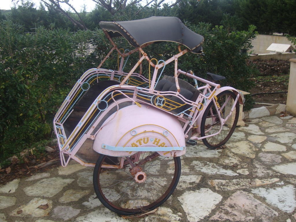 Country house Delle Palme Delfina